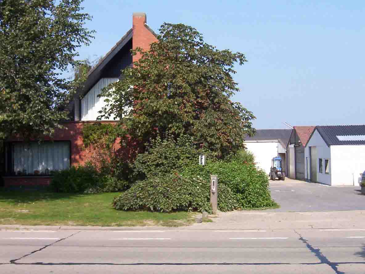 Tree nursery Dirk De Troy